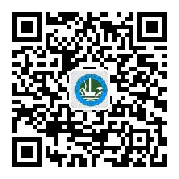 公司手機站